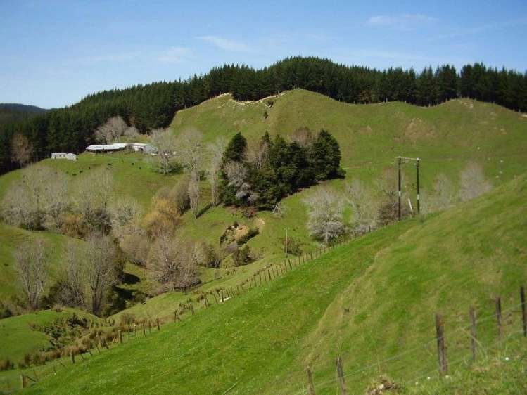 673 Hokoroa Road Tolaga Bay_1