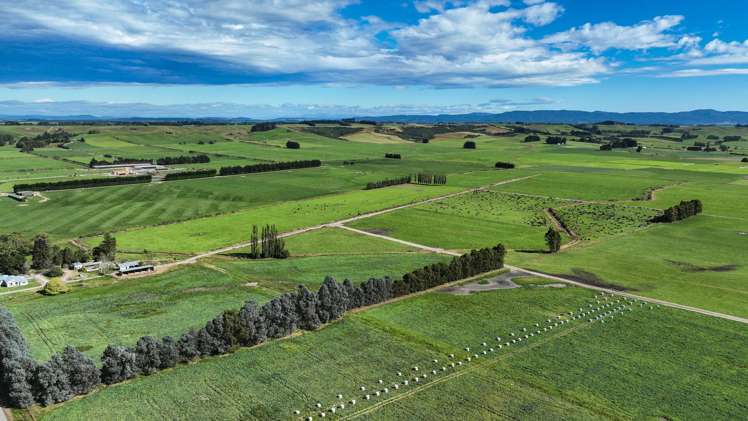 846 Pioneer Highway + 116 and 172 Ota Creek Road Edendale_6