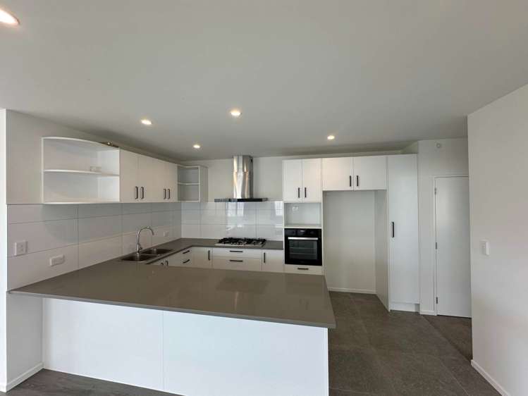 Belmont Road Pukekohe_1