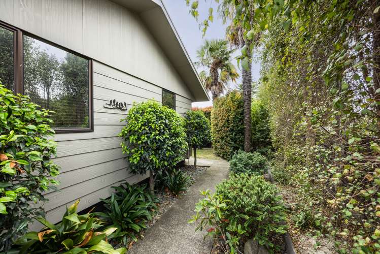 1/145 Gloucester Street Taradale_17