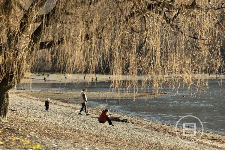 4 Tenby Street Wanaka_11