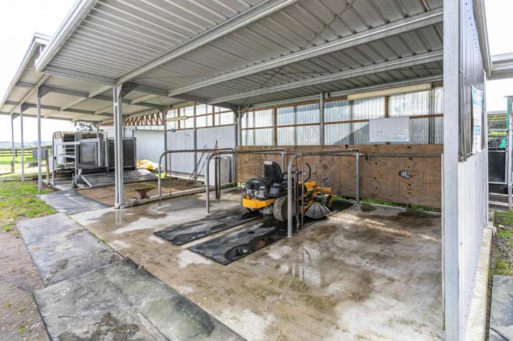 320 Hinuera Road Matamata_7