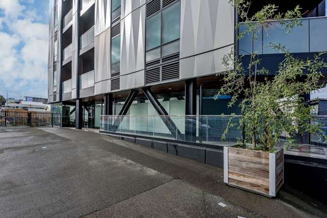 Unit 101/1 Enfield Street Mt Eden_1