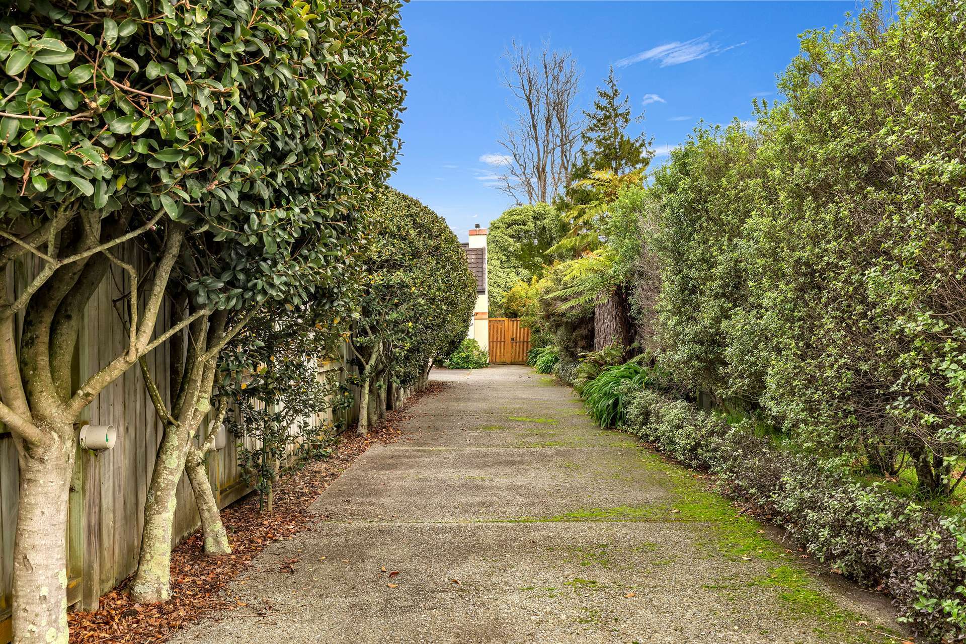 34a Collingwood Street Hokowhitu_0