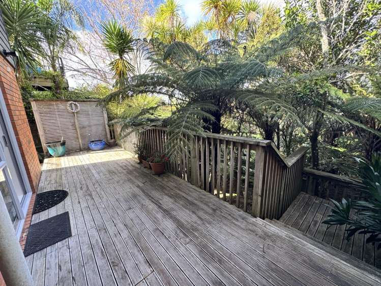 88B Carlisle Road Browns Bay_24