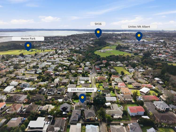 16A Powell Street Avondale_25