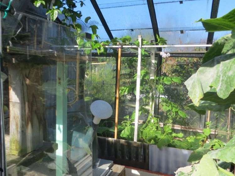 14 Barclay Avenue Te Aroha_17