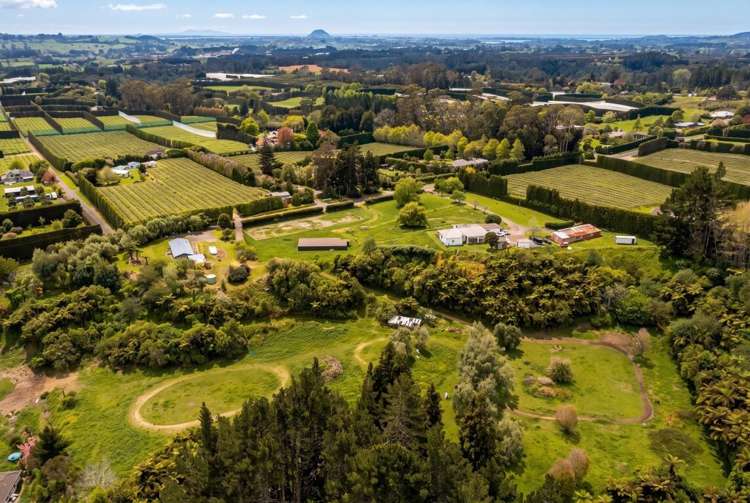 79 Jensen Road Omanawa_24