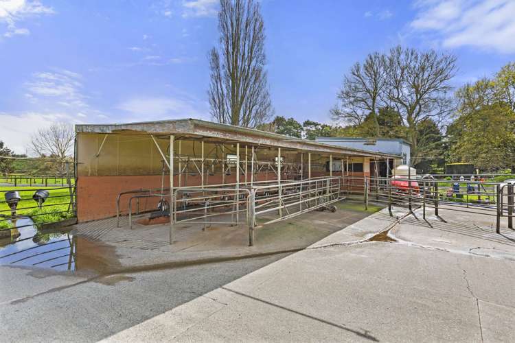 1/2528 Cambridge Road Te Awamutu_13