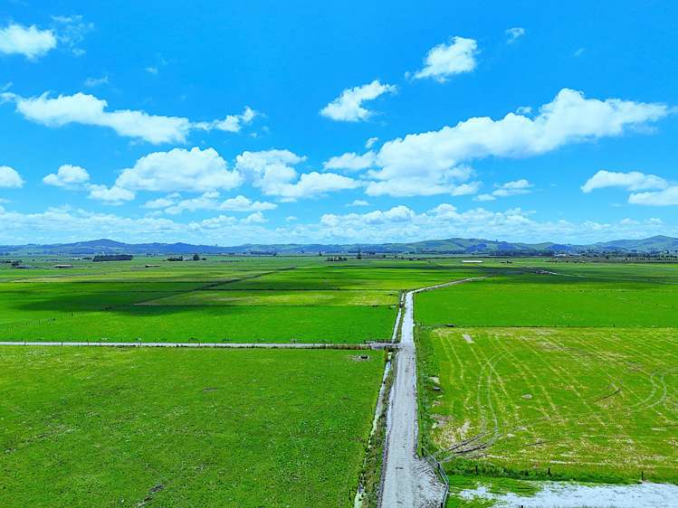 331 Simpson Road Ruawai_12