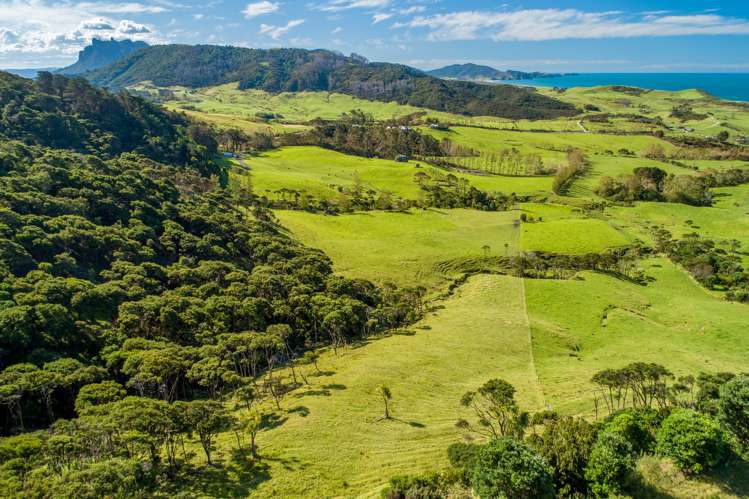196b Ocean Beach Road Whangarei Heads_12
