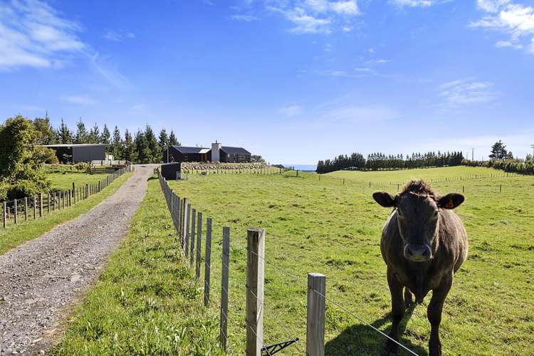 1640 Mangorei Road Mangorei_27