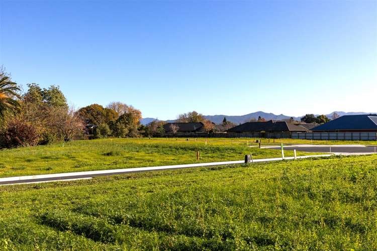 Lot 1-14 Magnolia Drive, Springlands Blenheim_10