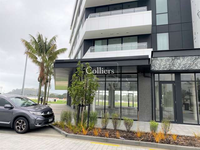 Alexandra Park Apartments Epsom_2