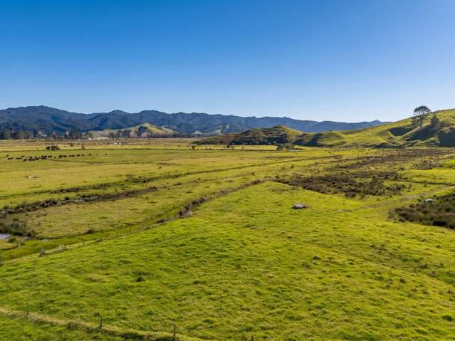 Lot 1 Proposed Subdivision of 157 Sh25 Te Rerenga_2