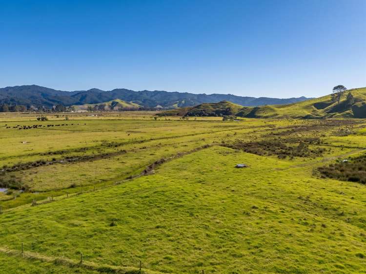 Lot 1 Proposed Subdivision of 157 Sh25 Te Rerenga_2