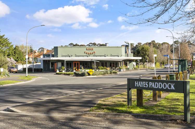 100 Macfarlane Street Hamilton East_19