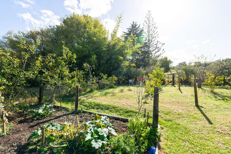 87 Kahikatea Flat Road Dairy Flat_16