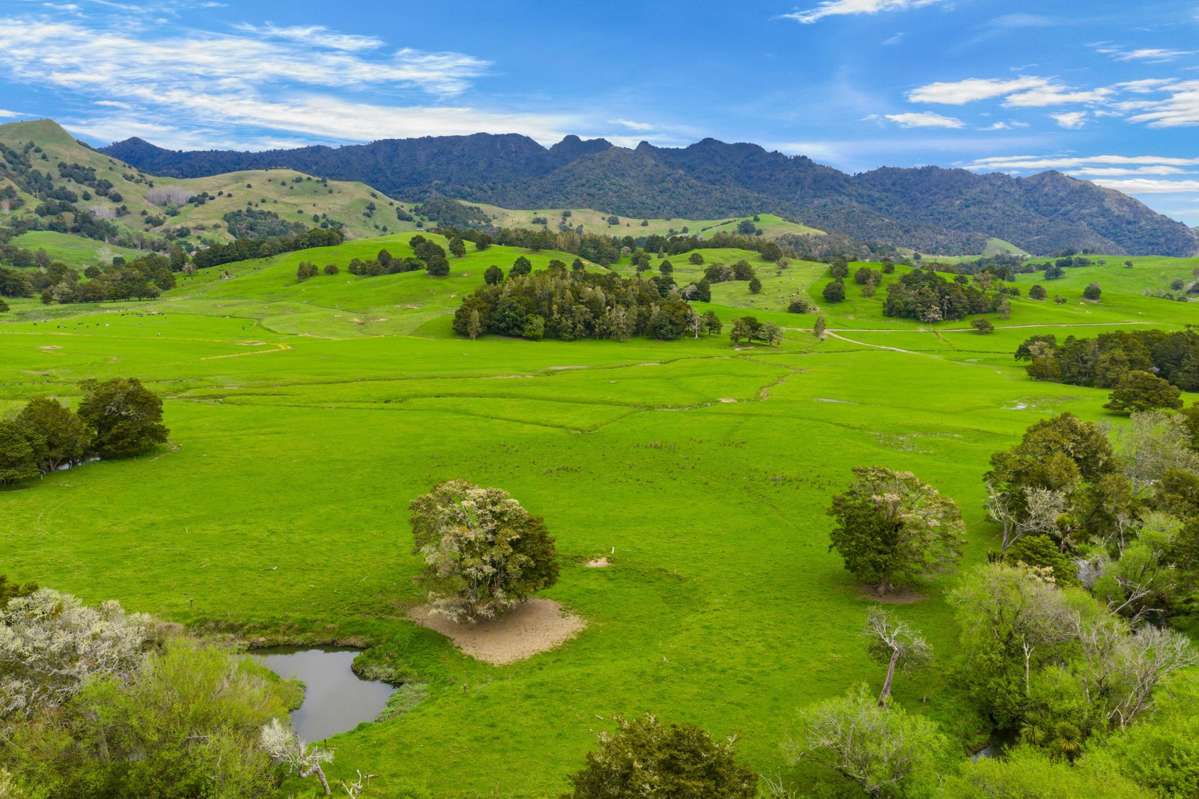 1070 Tangihua Road_2