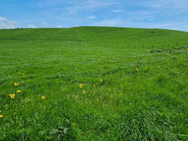 BUILD YOUR DREAM HERE!