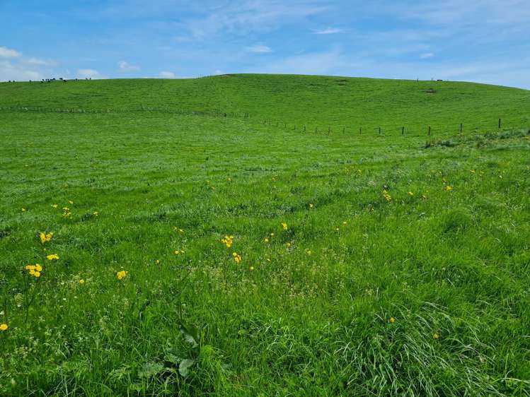 0n Upper Stuart Road_0