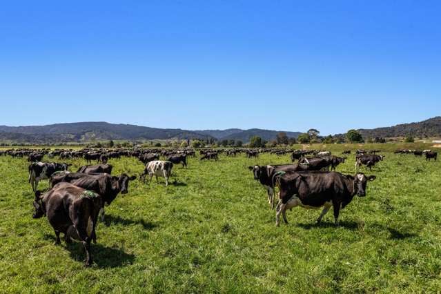 134ha Turnkey Dairy Operation