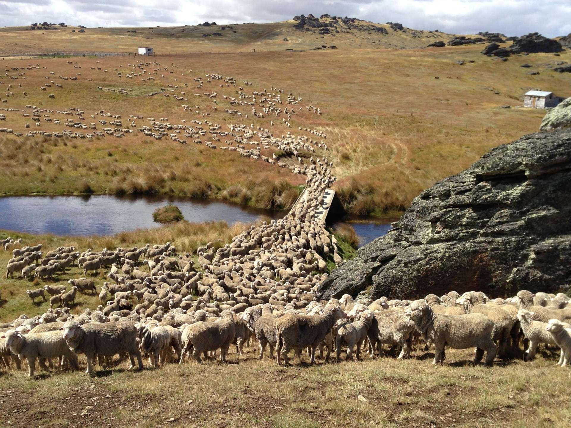 1109 Little Valley Road Alexandra_0