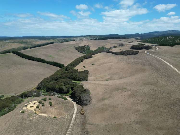 Toko Mouth Road Toko Mouth_16