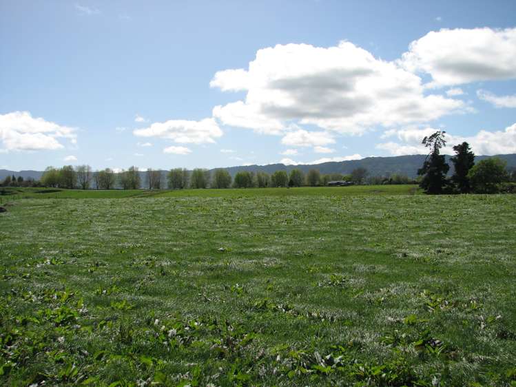 221 Tower Road Matamata_5