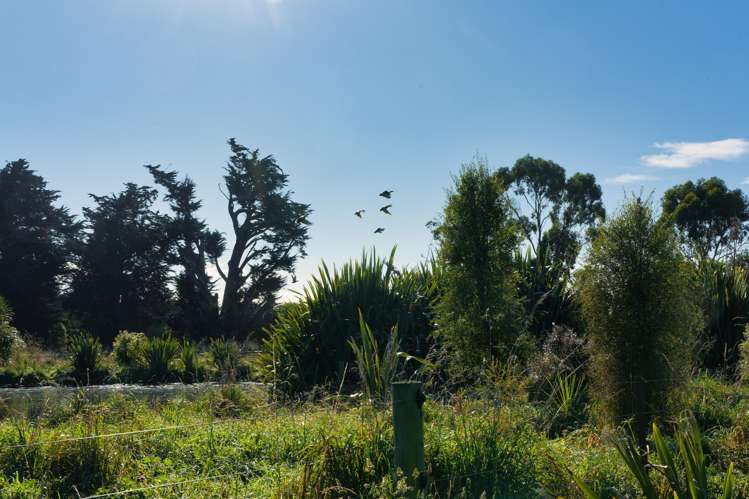 386 Mount Fyffe Road Kaikoura_21