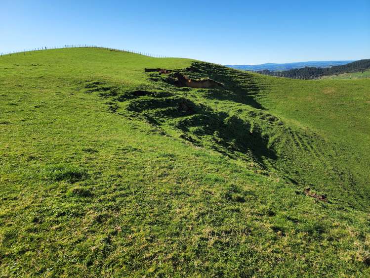 Te Anga Road Waitomo_12