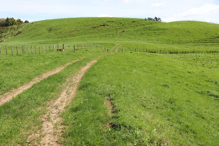 Lt2/310 Henwood Road Bell Block_19