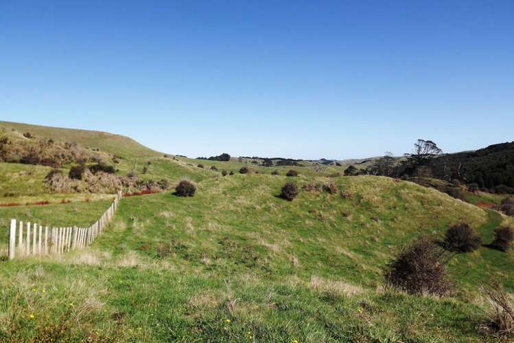 238 Waimaori Road Raglan_16