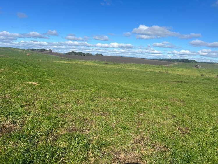 78 Brandon Hall Road Bulls_19