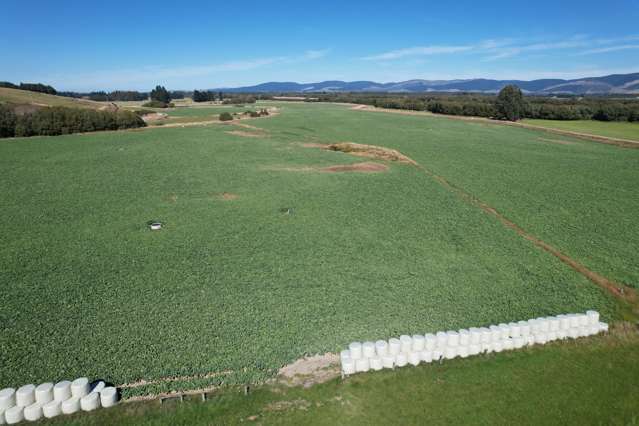 1147 Lumsden Dipton Highway Dipton_4