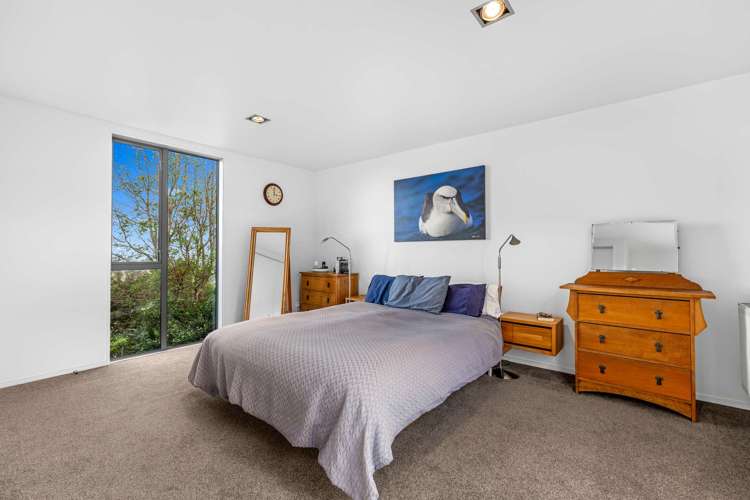 1481N State Highway 1 Kaikoura_27