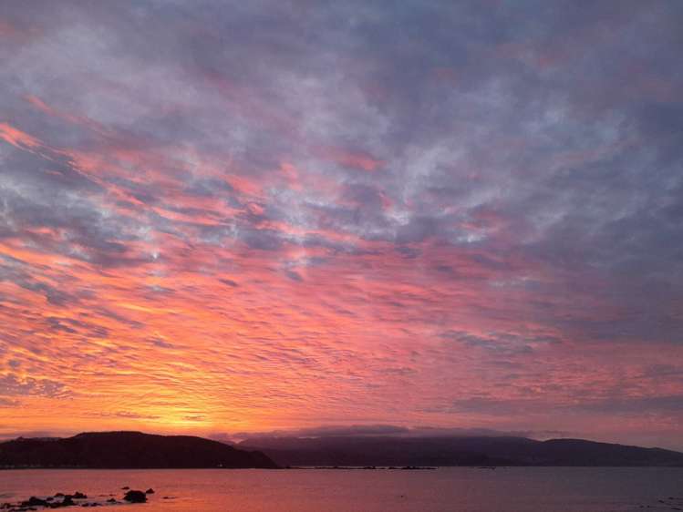 2/420 Queens Drive Lyall Bay_15