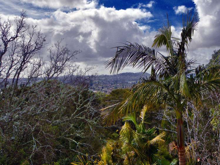 4a Roland Hill Glen Eden_10