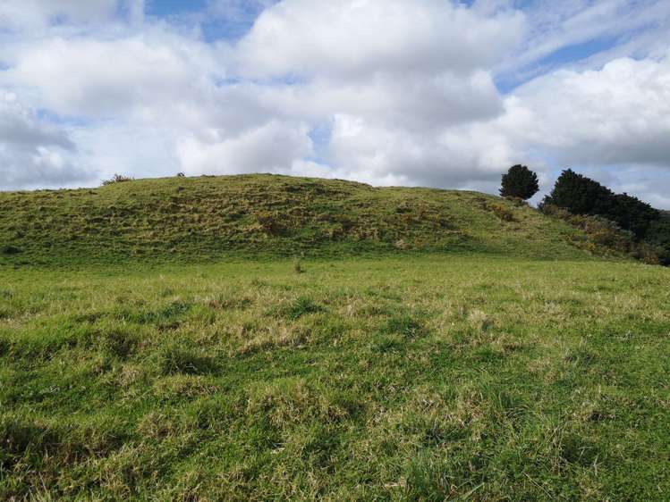 63 Hinamoki Drive Kaiwaka_3