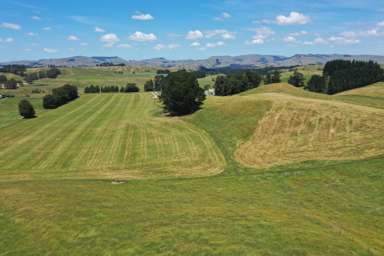 83 Norsewood Ormondville Road_3