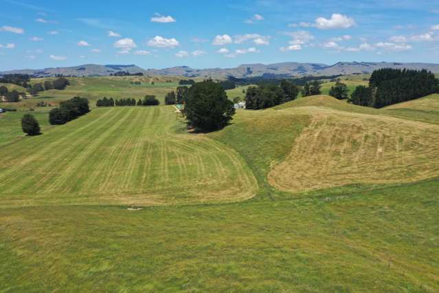 83 Norsewood Ormondville Road Norsewood_3