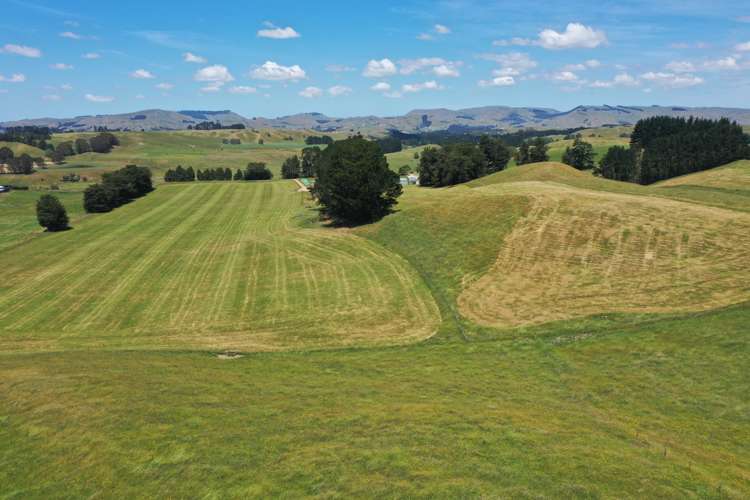 83 Norsewood Ormondville Road Norsewood_3