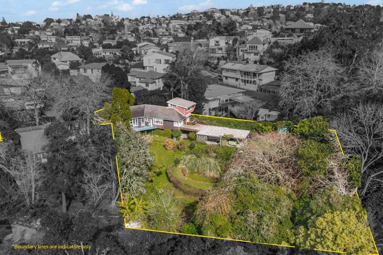 50 Queenstown Road Hillsborough_11