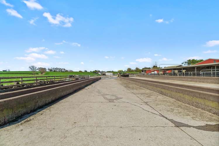 520 Lake Road Horsham Downs_18