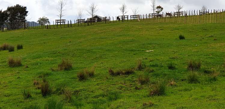 105 Jumna Road Maungaturoto_12