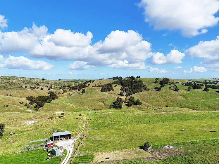435 Parahi Road Ruawai_18