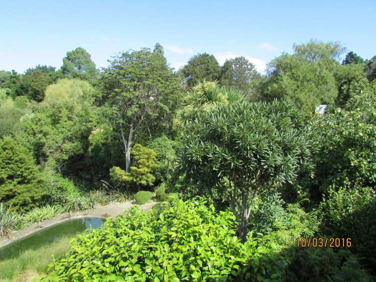 101 Main Road Governors Bay_7