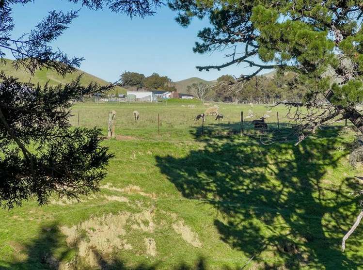 453 Tetley Brook Road Seddon_34