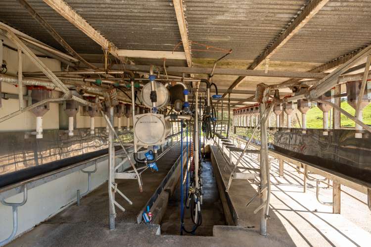 145 Totara Road Ngakuru_15