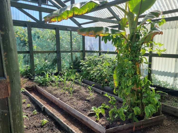 89 Greenwood Street Motueka_28